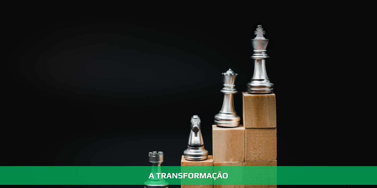 Figura 3 - HIERARQUIA. COMO ANDA A ORGANIZAÇÃO CORPORATIVA